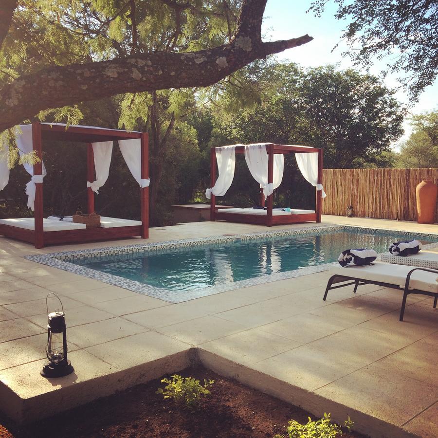 הודספרויט Bushbaby River Lodge מראה חיצוני תמונה