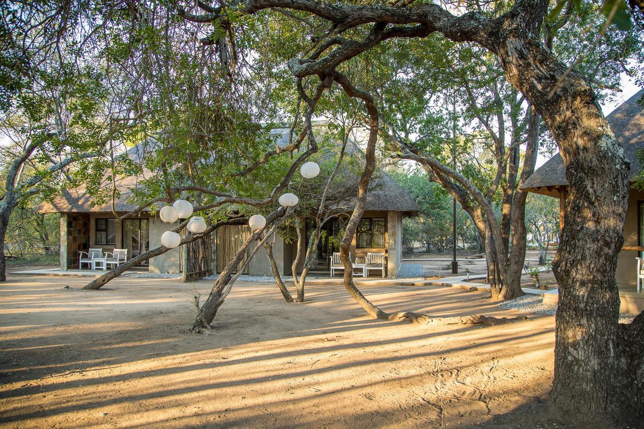 הודספרויט Bushbaby River Lodge מראה חיצוני תמונה