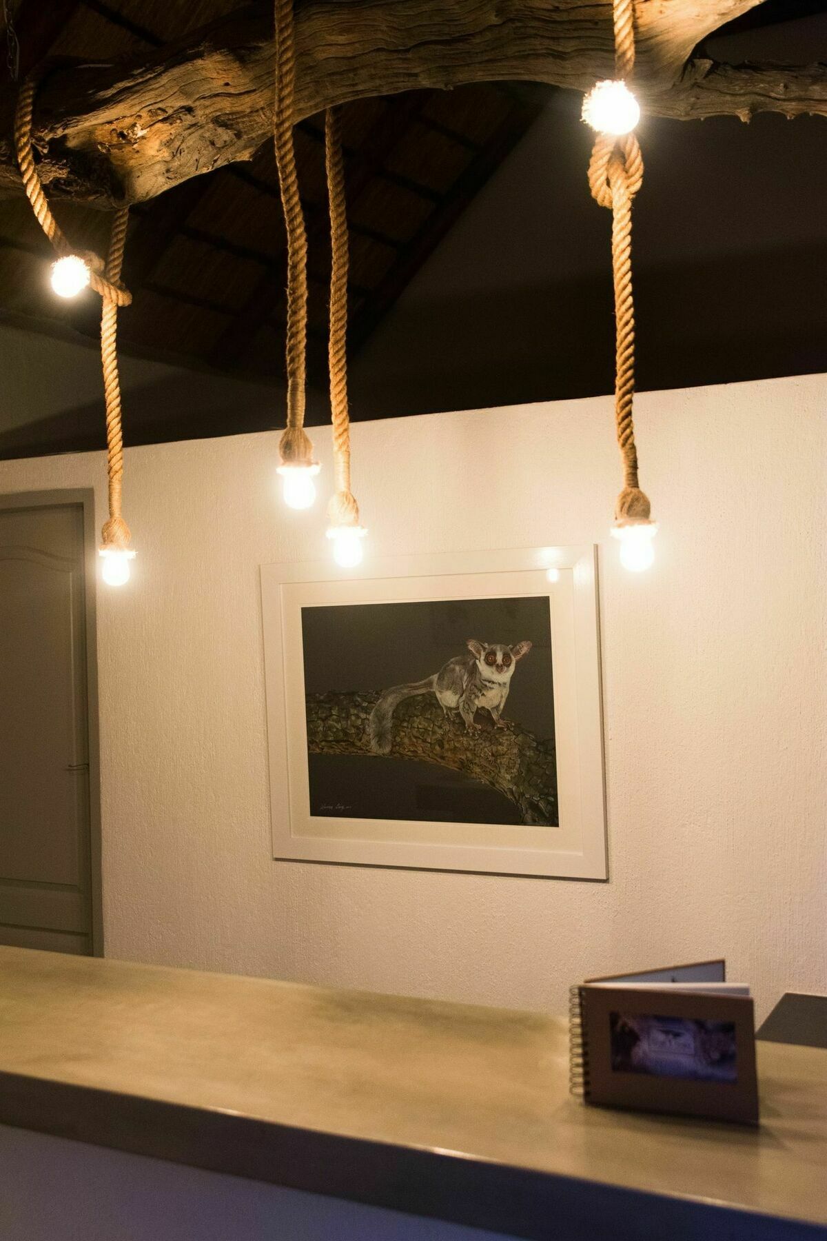 הודספרויט Bushbaby River Lodge מראה חיצוני תמונה